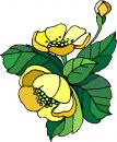 natura/fiori/clipart_fiori_c163.jpg