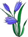 natura/fiori/clipart_fiori_c164.jpg