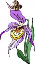 natura/fiori/clipart_fiori_c168.jpg