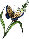 natura/fiori/clipart_fiori_c169.jpg