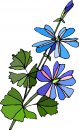 natura/fiori/clipart_fiori_c170.jpg