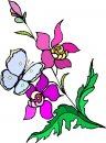 natura/fiori/clipart_fiori_c173.jpg