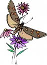 natura/fiori/clipart_fiori_c174.jpg