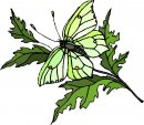 natura/fiori/clipart_fiori_c182.jpg