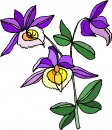 natura/fiori/clipart_fiori_c187.jpg