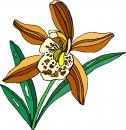 natura/fiori/clipart_fiori_c189.jpg