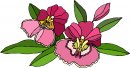 natura/fiori/clipart_fiori_c192.jpg