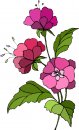 natura/fiori/clipart_fiori_c193.jpg