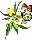 natura/fiori/clipart_fiori_c194.jpg