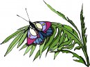 natura/fiori/clipart_fiori_c195.jpg