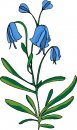 natura/fiori/clipart_fiori_c197.jpg