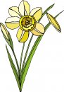 natura/fiori/clipart_fiori_c207.jpg