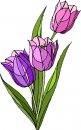 natura/fiori/clipart_fiori_c210.jpg