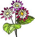 natura/fiori/clipart_fiori_c211.jpg