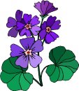 natura/fiori/clipart_fiori_c212.jpg