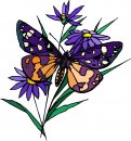 natura/fiori/clipart_fiori_c213.jpg