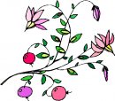 natura/fiori/clipart_fiori_c215.jpg