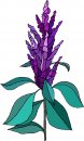 natura/fiori/clipart_fiori_c219.jpg