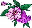 natura/fiori/clipart_fiori_c220.jpg