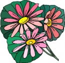 natura/fiori/clipart_fiori_c221.jpg