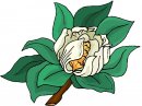 natura/fiori/clipart_fiori_c224.jpg