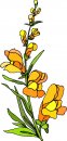 natura/fiori/clipart_fiori_c226.jpg