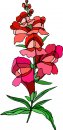 natura/fiori/clipart_fiori_c227.jpg