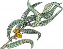 natura/fiori/clipart_fiori_c231.jpg