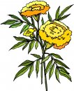 natura/fiori/clipart_fiori_c233.jpg