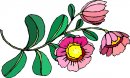 natura/fiori/clipart_fiori_c234.jpg