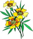 natura/fiori/clipart_fiori_c235.jpg