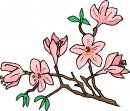 natura/fiori/clipart_fiori_c243.jpg