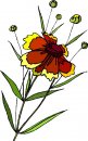 natura/fiori/clipart_fiori_c246.jpg