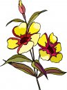 natura/fiori/clipart_fiori_c248.jpg