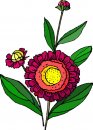 natura/fiori/clipart_fiori_c251.jpg