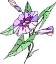 natura/fiori/clipart_fiori_c252.jpg