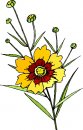 natura/fiori/clipart_fiori_c253.jpg