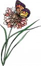 natura/fiori/clipart_fiori_c267.jpg