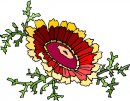 natura/fiori/clipart_fiori_c268.jpg