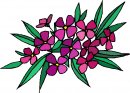 natura/fiori/clipart_fiori_c271.jpg