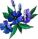 natura/fiori/clipart_fiori_c273.jpg