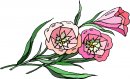 natura/fiori/clipart_fiori_c274.jpg