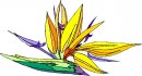 natura/fiori/clipart_fiori_c283.jpg