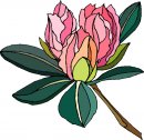 natura/fiori/clipart_fiori_c284.jpg