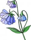 natura/fiori/clipart_fiori_c292.jpg