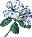 natura/fiori/clipart_fiori_c297.jpg