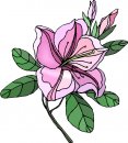 natura/fiori/clipart_fiori_c301.jpg