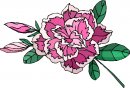 natura/fiori/clipart_fiori_c302.jpg