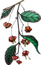 natura/fiori/clipart_fiori_c309.jpg