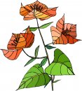 natura/fiori/clipart_fiori_c314.jpg